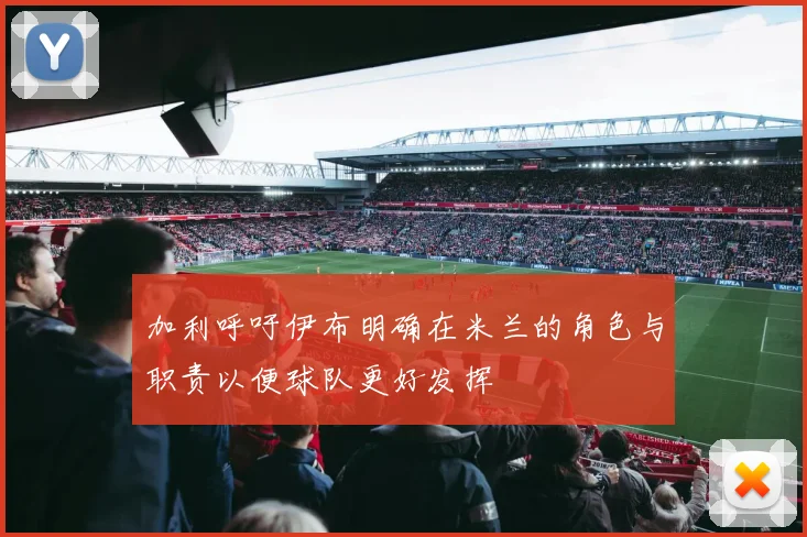 加利呼吁伊布明确在米兰的角色与职责以便球队更好发挥