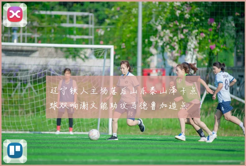 辽宁铁人主场落后山东泰山泽卡点球双响谢文能助攻马德鲁加造点